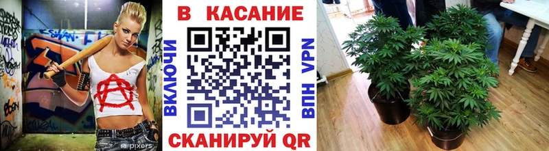 Сколько стоит Апрелевка СК  Псилоцибиновые грибы  Меф 