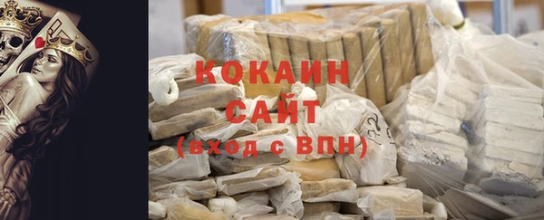 мет Алексин