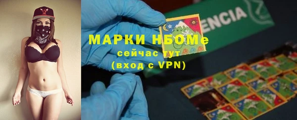 мет Алексин
