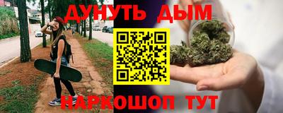 сатива Аргун