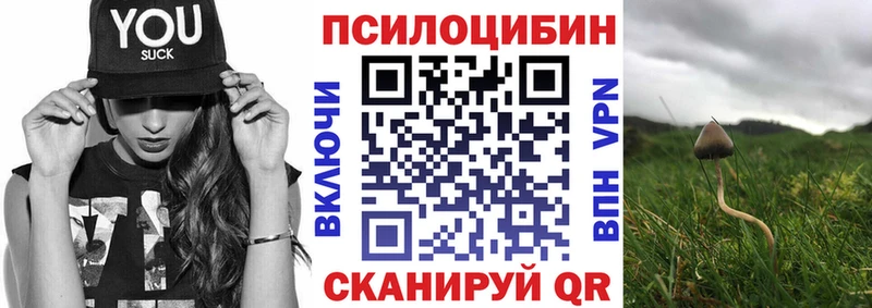 где продают   Апрелевка  Псилоцибиновые грибы Cubensis 