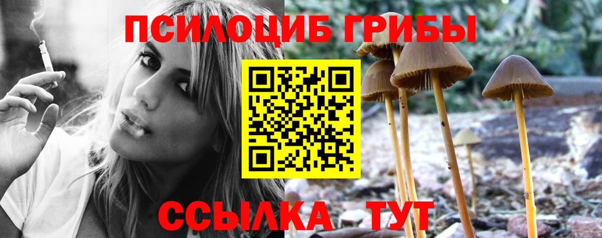 Галлюциногенные грибы Cubensis Апрелевка